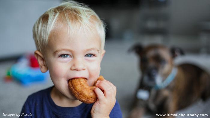 6 Delicious Sugar-Free Snacks Your Kids Will Love